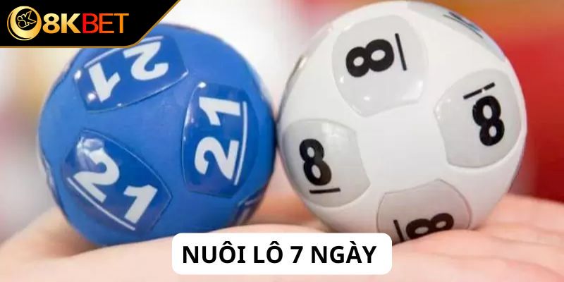 Sơ lược chung về nuôi lô 7 ngày 